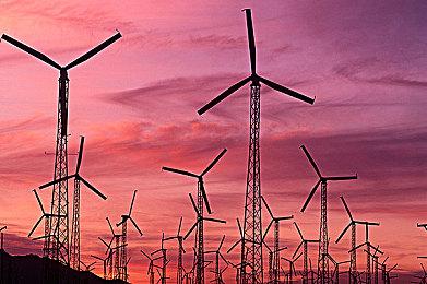 《匹诺曹的谎言》新增D加密 18日23点解锁